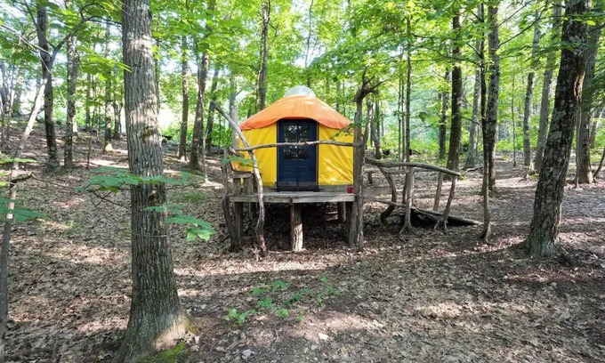 Coeymans Hollow Cabine | Magic Forest Farm Yurt