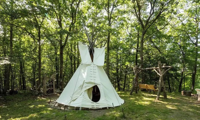 Coeymans Hollow Cabine | Magic Forest Farm Garden Tipi