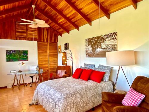 Garabito Appartement | Magic Mountain Views Studio