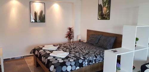 Ploiesti Appartement | Magic Studio