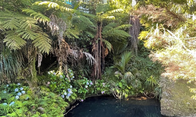 Piha Maison | Magical river retreat with private swimming hole.