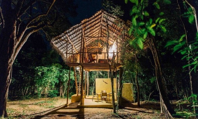 Sigiriya Cabine | Magical Tree House in Jungle next to Pidurangala
