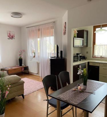 Hegyko Appartement | Magnólia Apartmam