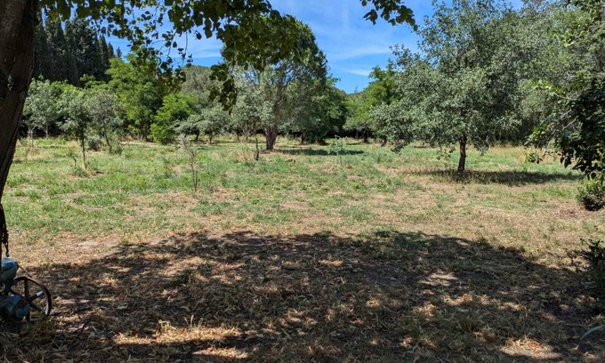 Montesquieu-des-Alberes Appartement | Magnifique studio en pleine nature