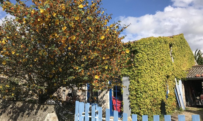 Saint Froult Cottage | Magnifique gite dans une zone naturelle et à 1km de la plage