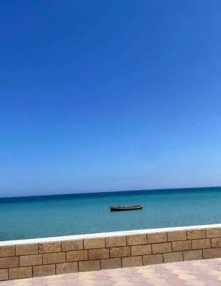 Salakta Appartement | Magnifique appartement - terrasse vue mer