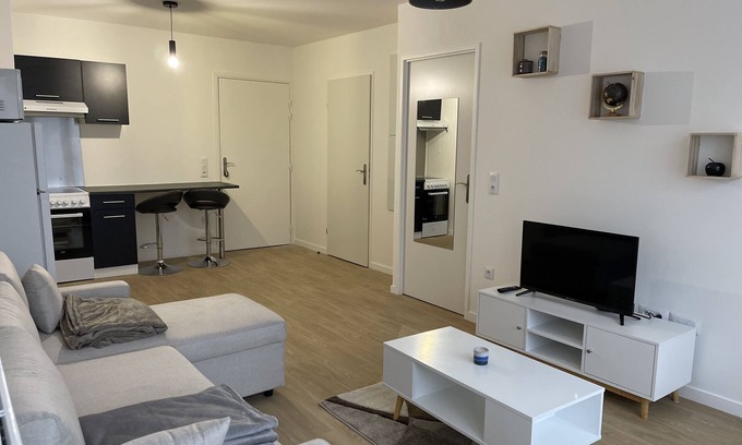 Le Blanc-Mesnil Appartement | Appartement proche de Paris|aéroport CDG|JO 2024|Orly|Disneyland|Parc Astérix