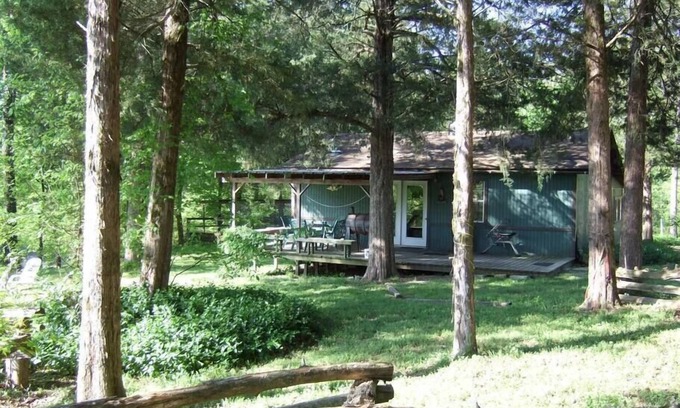 Pencil Bluff Maison | Cabane rustique Honeybear avec une vue imprenable sur la rivière Ouachita, Animaux acceptés