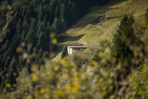 Mesocco Chalet De Ski | Maiensäss, Berghütte Pundelon - autark, voll ausgestattet, Ressourcen begrenzt