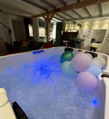 Maisdon-sur-Sevre Appartement | Maison avec jacuzzi