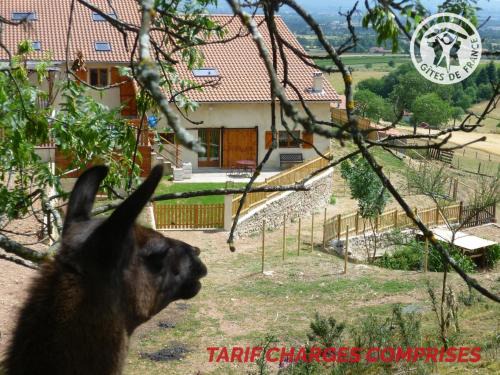 Saint-Andre-dʼApchon Appartement | Maison cosy avec spa, sauna et lamas à proximité de Roanne - FR-1-496-23