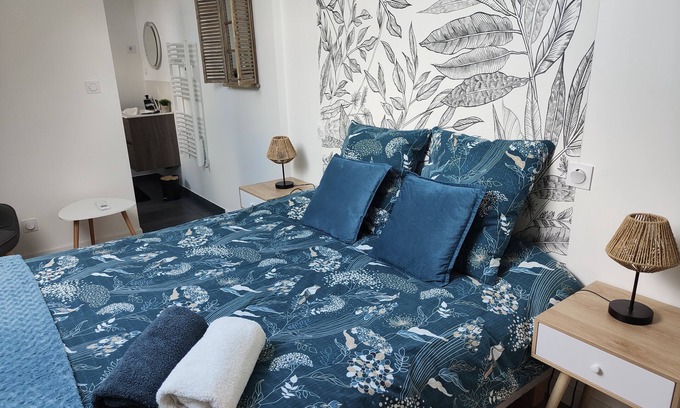 Noyant-de-Touraine Appartement | Gite Maison de Famille
