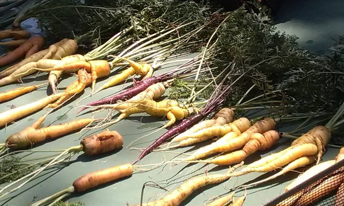 Moltifao Lit Et Petit-Déjeuner | Maison de table d hotes a côté de la ferme