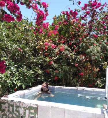 Parrita Maison | Maison du Bonheur costaricienne sur la plage avec bassin de rafraichissement
