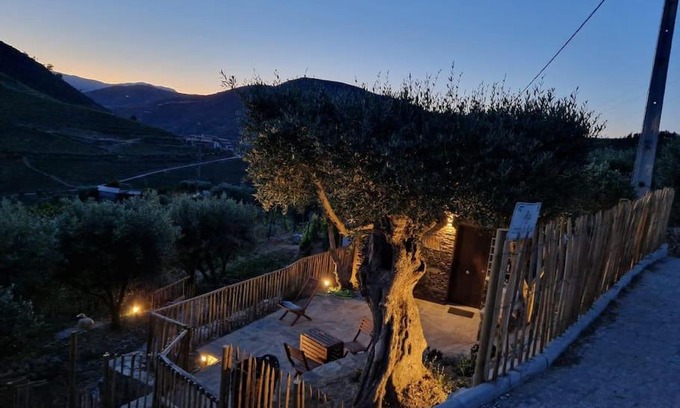 Armamar Maison | maison du olival