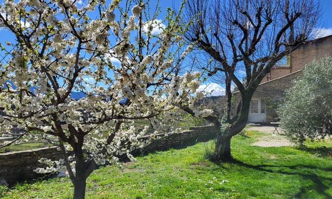 Faucon Maison | maison en Provence, à Faucon, avec jardin arboré et vue sur le Mont Ventoux.