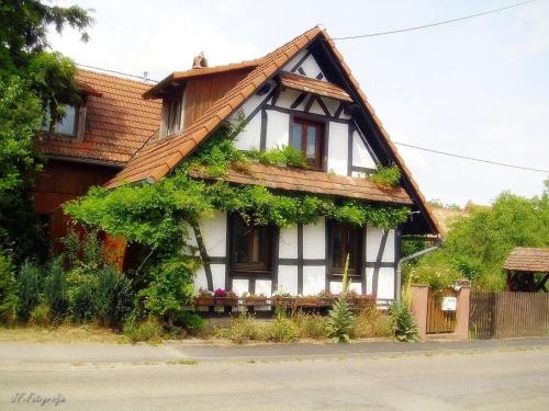 Betschdorf Appartement | Maison Fleurie