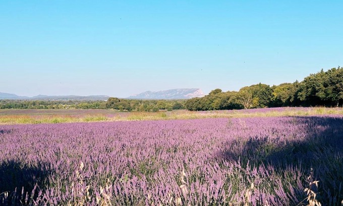 Aix-en-Provence Lit Et Petit-Déjeuner | Maison Françoise