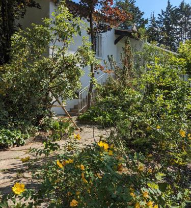 Lavilledieu Maison | Maison spacieuse et lumineuse 4 personnes