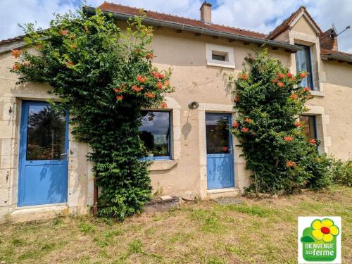 Lussac-Les-Eglises Maison | Maison typique en Berry avec jardin privatif, BBQ et parking - FR-1-591-598