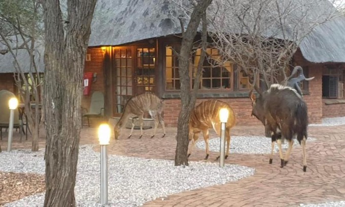 Bela-Bela Maison | Makhato Bush Lodge 3