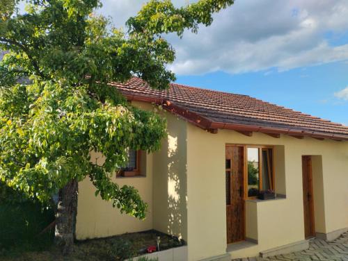Svinarov Appartement | Malé útulné studio s koupelnou a kuchyňkou