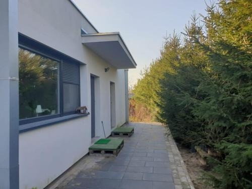 Sroda Wielkopolska Appartement | Maly apartament w zieleni blisko jeziora