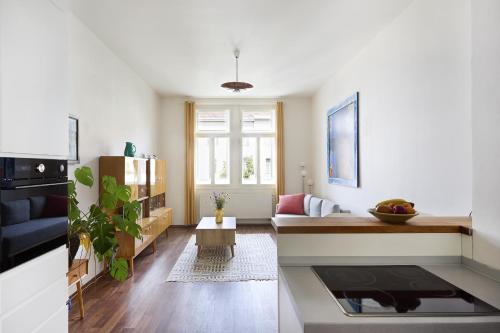 Bubenec Appartement | Mama's apartment in Letna