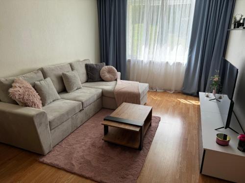 Polva County Appartement | Mammaste Apartment