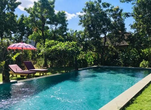 Pemuteran Maison | Mango Moon