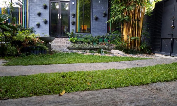 Veyangoda Maison | Mango Roots