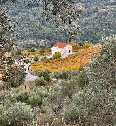 Manolates Maison | Manolates 360