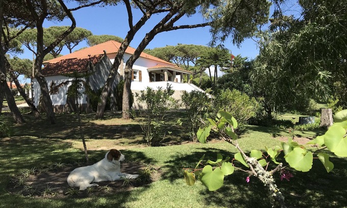 Magoito Maison | Solar do Magoiti : luxueux manoir avec piscine privée à proximité de la plage