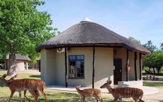 Kruger National Park Cabine | Manyeleti Big 5 Game Reserve