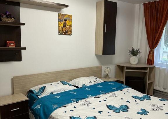Fagaras Appartement | Mara