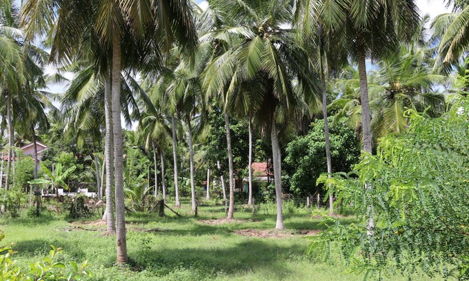 Nattandiya Maison | Marawila Residence