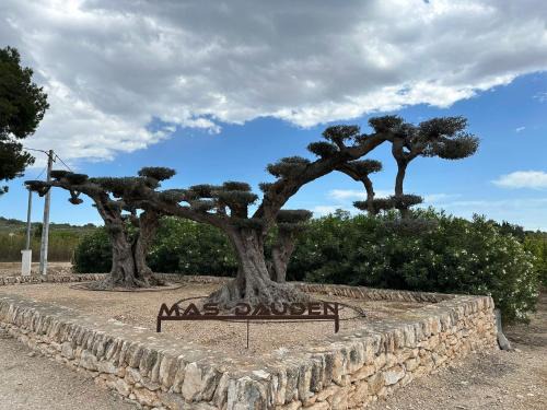 Tortosa Maison | Mas Dauden