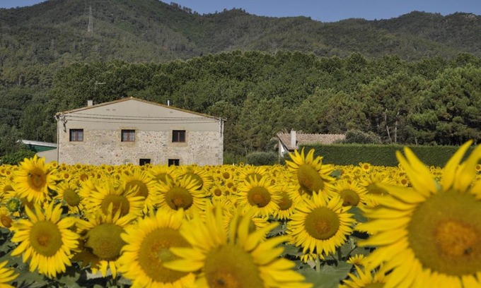 Sant Gregori Maison | Mas Font