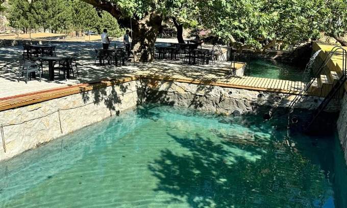 Zeytinli Maison | MAS KAZDAĞI GLAMPİNG
