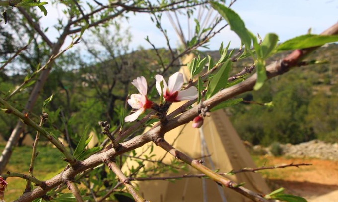 Alcaria Cova Maison | MasBelvedere