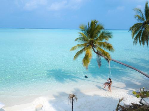 Felidhoo Maison | Masfalhi View Inn
