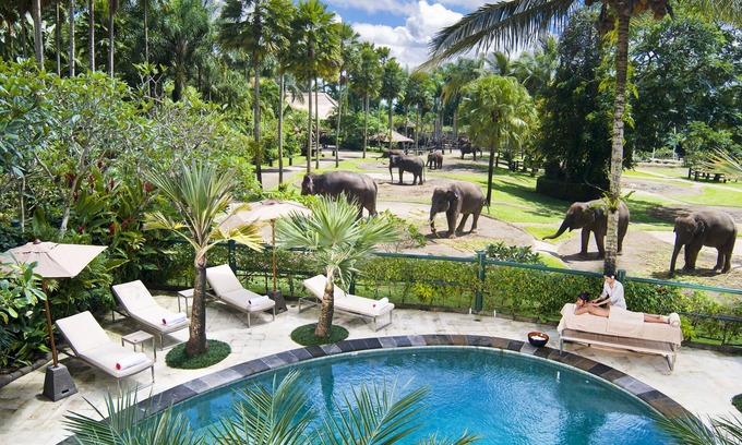 Taro Station Balnéaire | Mason Elephant Lodge