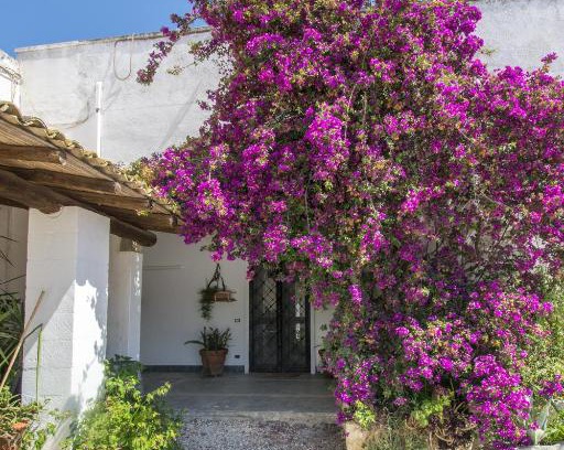 Torre Santa Susanna Maison | Masseria Bellamarina