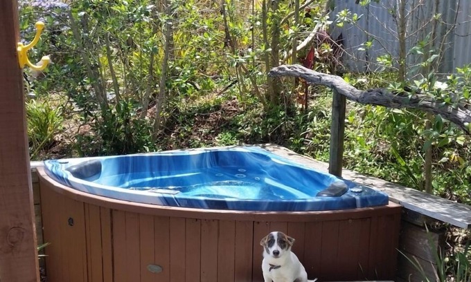 Whangaripo Chalet De Ski | Matakana paisible retraite rustique, tremper dans le spa chaud isolé.