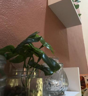 Kota Bharu Maison | Mayyah Guest House
