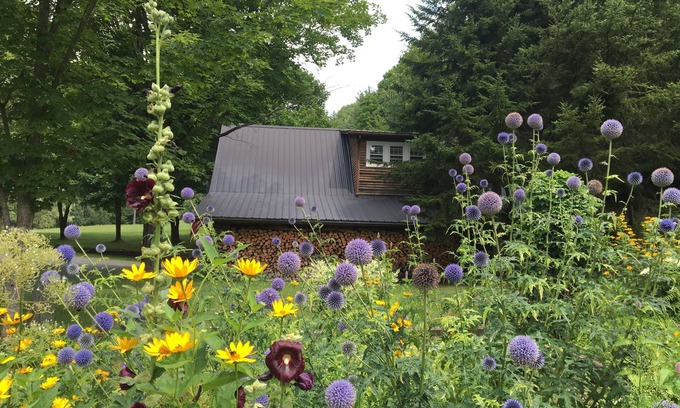 Windsor Maison | Meadow View - 35 acres devant votre porte