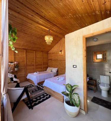 Siwa Hôtel | Meddur Siwa Oasis