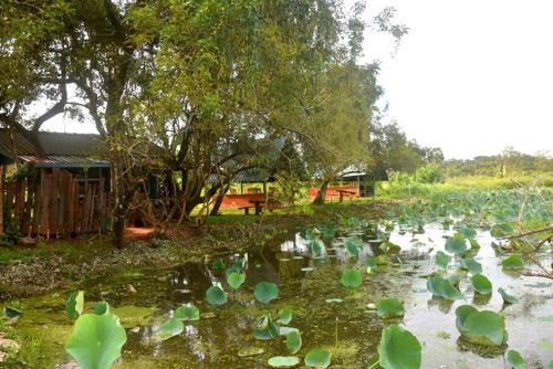 Anuradhapura Maison | Meegahapokuna Resort