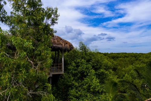 Tangalle Cabine | Mermaid Cabana and Tree Houses