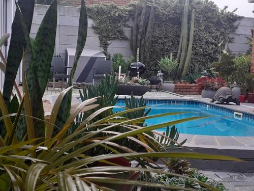 Trawal Appartement | Mi Amor Accommodation